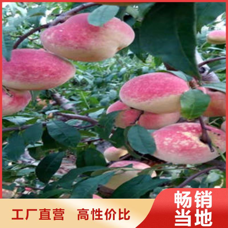 90厘米怎樣購買
