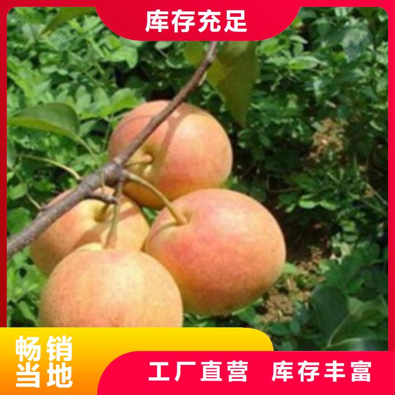 70公分一畝地需要多少株