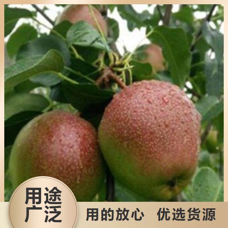 7公分一畝地種植利潤