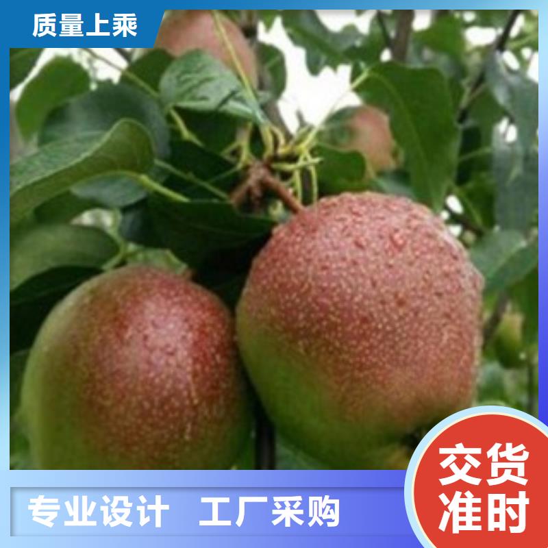 15厘米批發(fā)價(jià)格