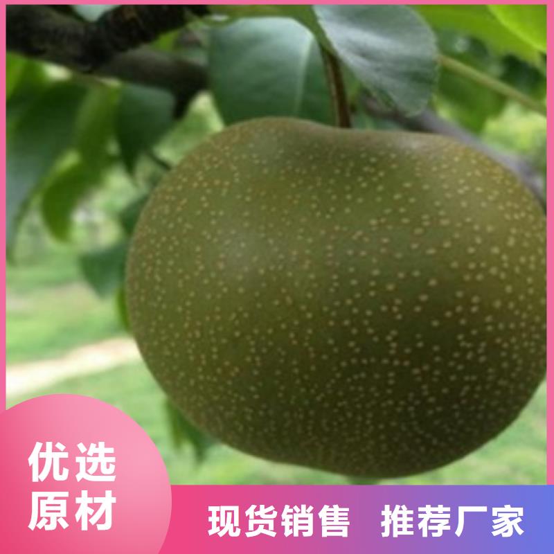 1.2公分一畝地種植利潤