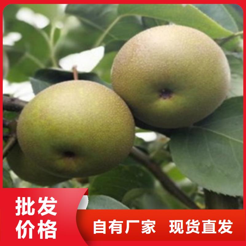 3厘米一畝地種植利潤