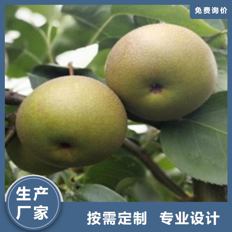 70公分種植技術