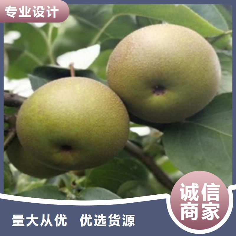 15公分畝產(chǎn)多少
