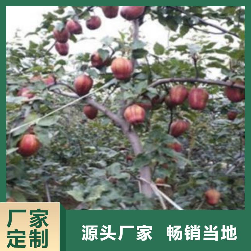 15厘米批發(fā)價(jià)格
