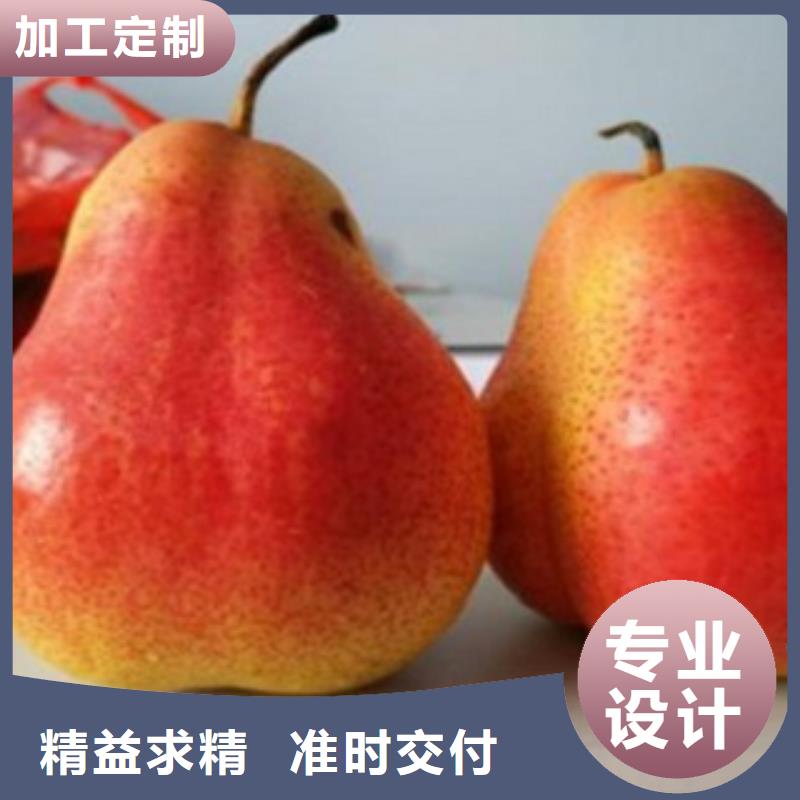 梨樹苗,花椒苗實力大廠家