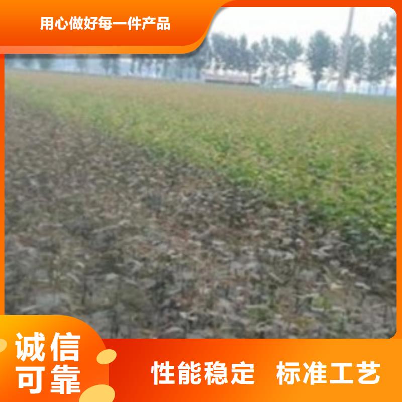6厘米哪里的價格低