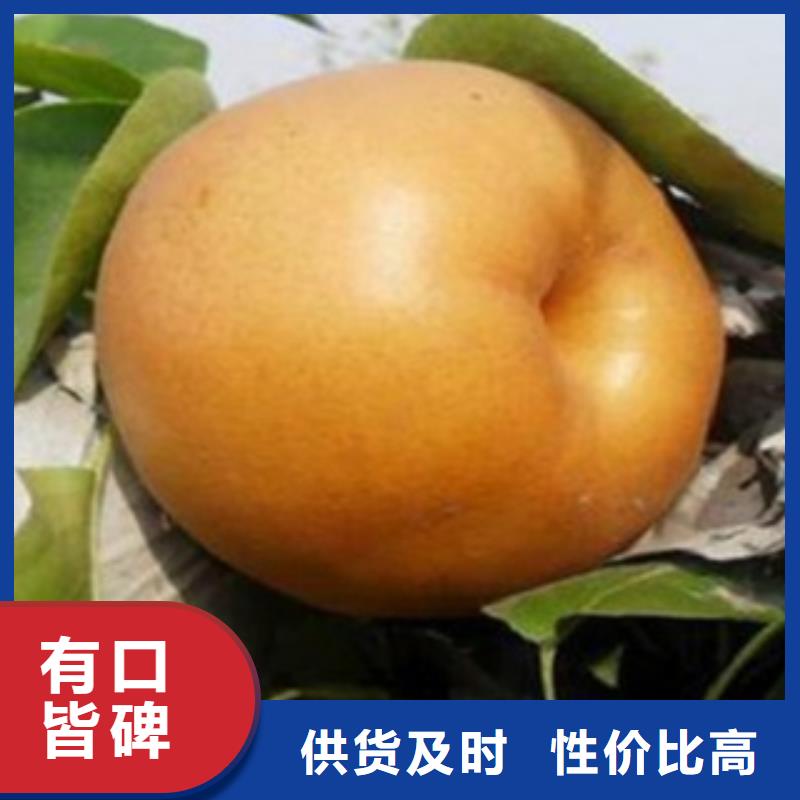 80厘米管理方式
