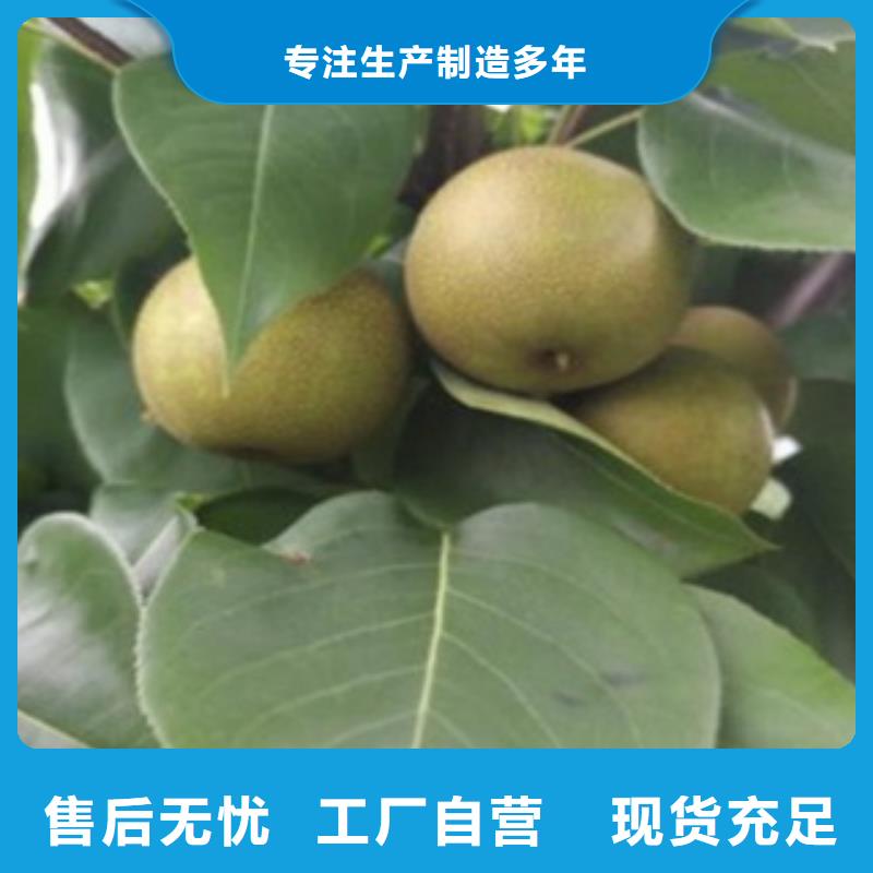 0.5厘米求購