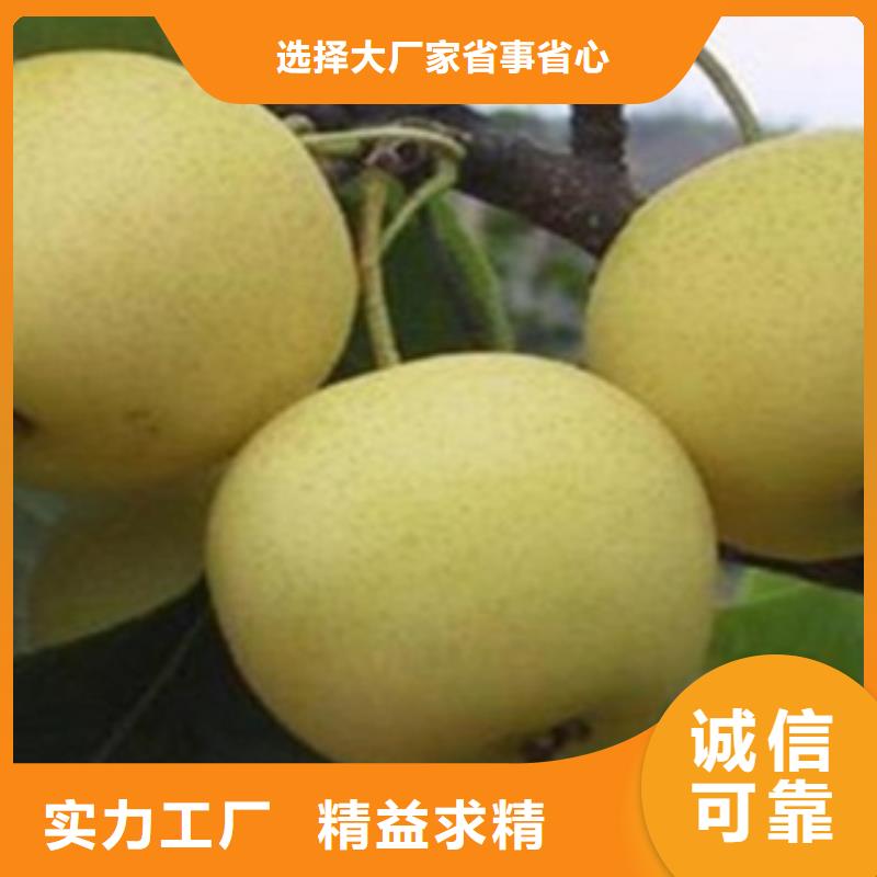 12厘米廠家