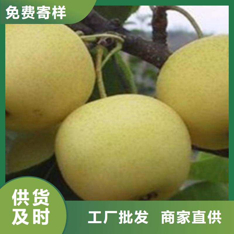 40公分批發