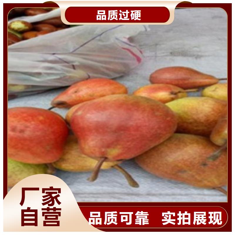 1.2米合作社