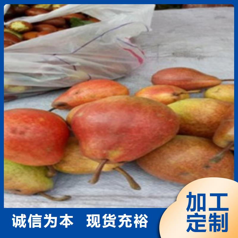 花椒苗视频-花椒苗(兴海)覆盖地域湖南省邵阳市隆回|大祥|衡阳|长沙|益阳|永州