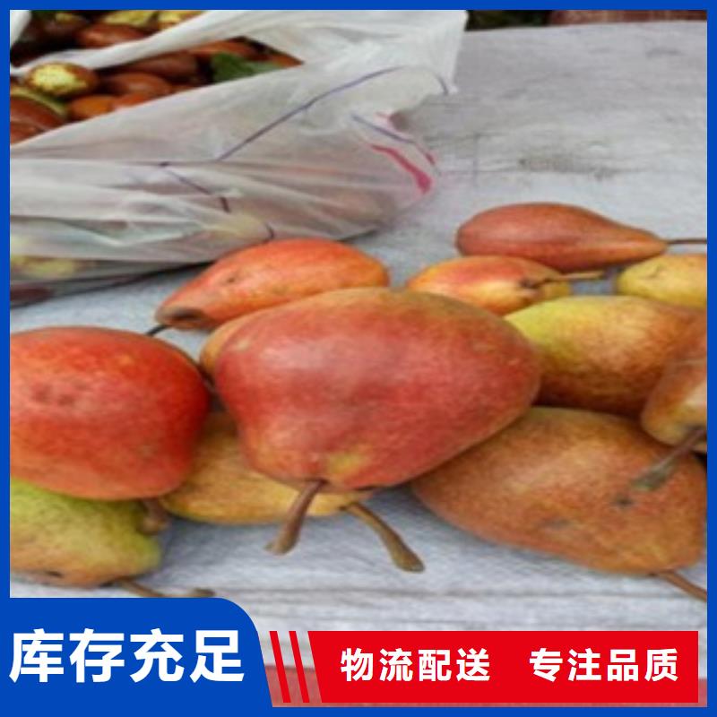 1.2米供應