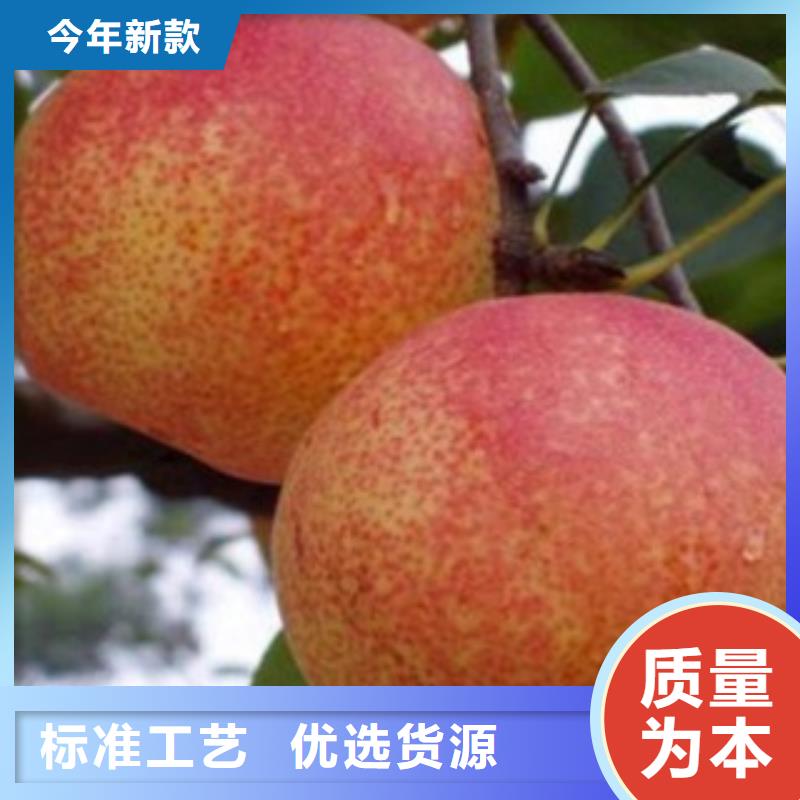 1.2厘米種植方法