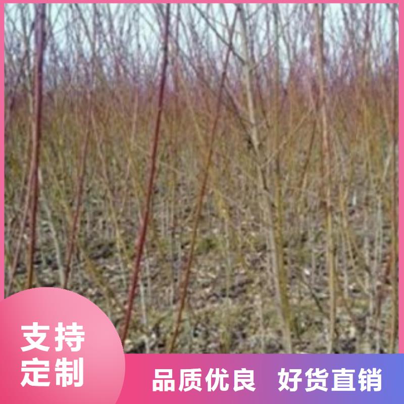 1米怎么賣(mài)