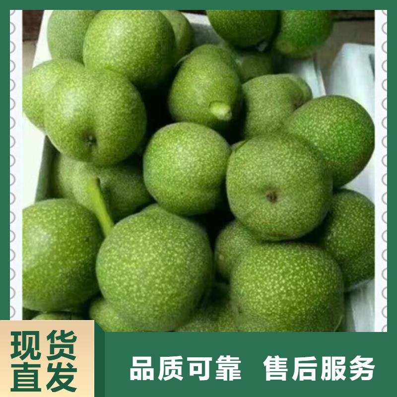 核桃苗,藍莓苗物流配送