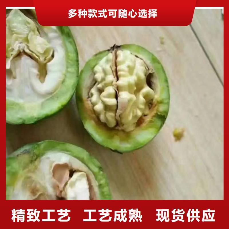 核桃苗藍莓苗客戶滿意度高