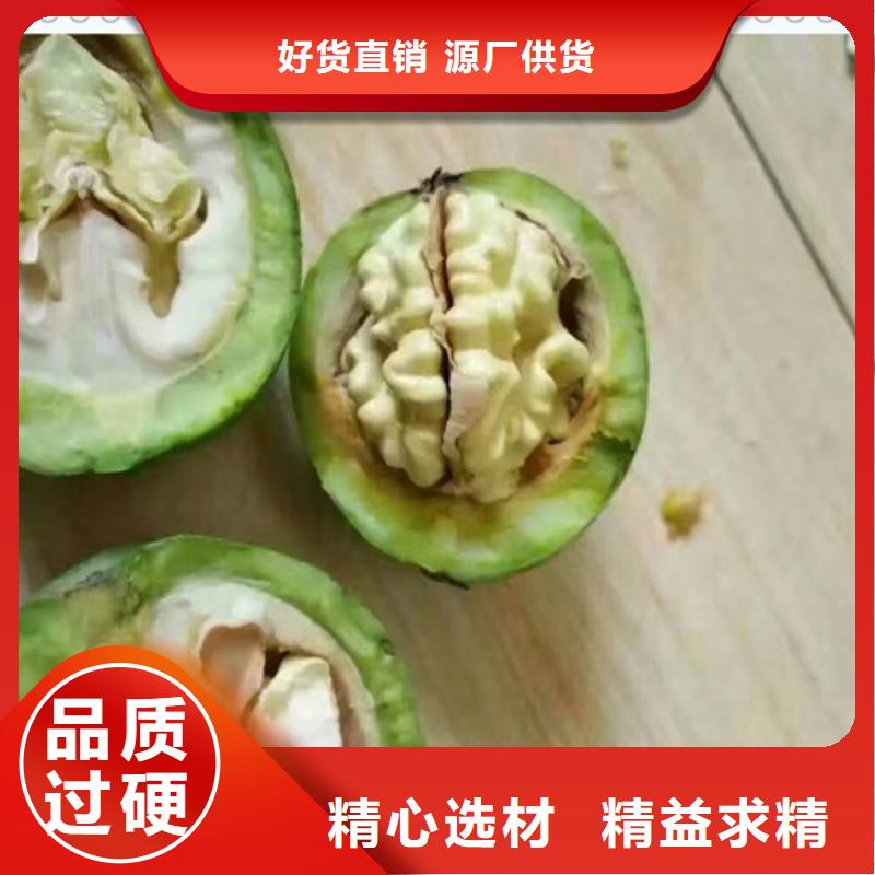 【核桃苗山楂苗出貨快】
