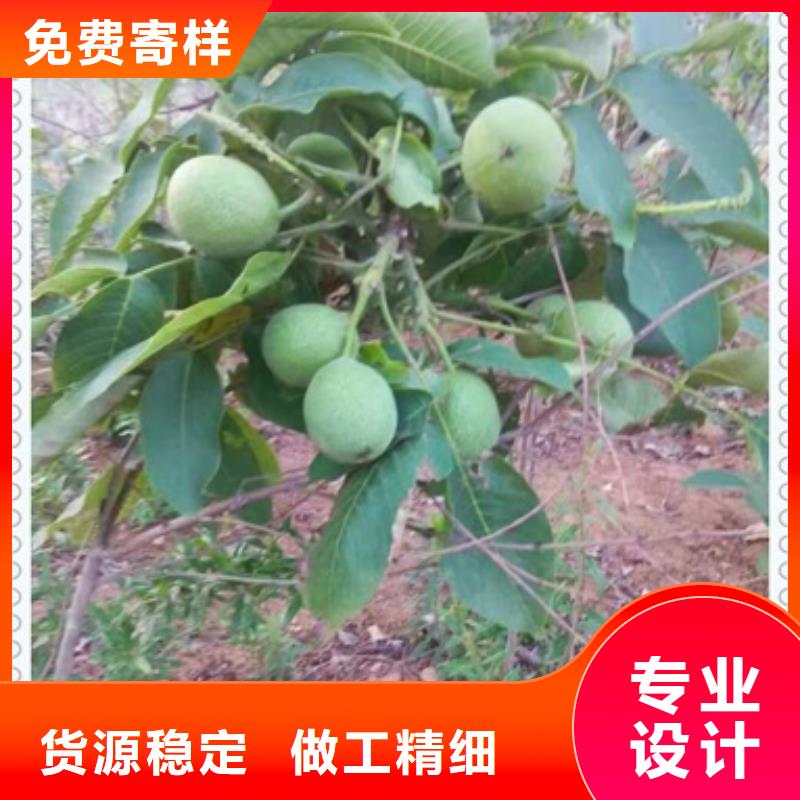 核桃苗【梨樹苗】規格齊全實力廠家