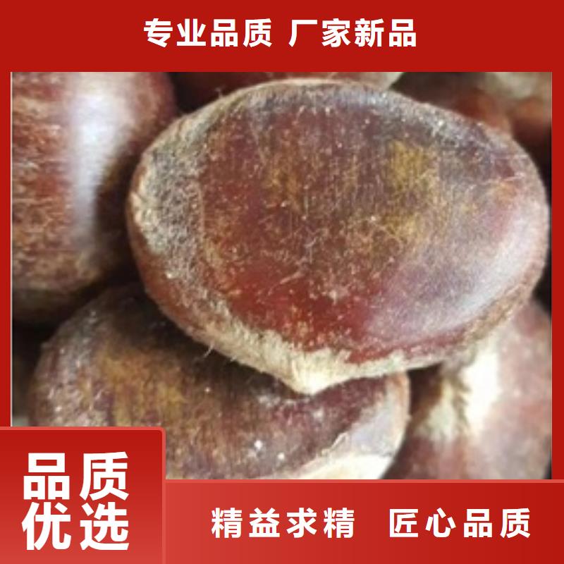 花椒苗视频-景洪|勐腊|昭通|文山|迪庆|临沧|怒江|玉溪|普洱花椒苗全品类现货-兴海苗木种植社(西双版纳市分公司)