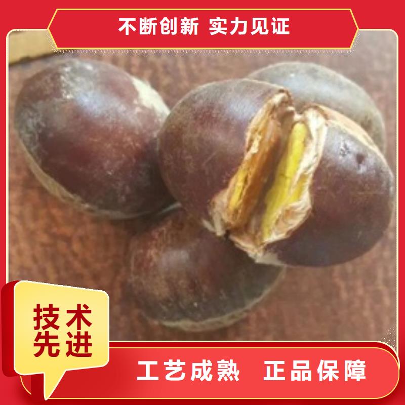 板栗苗花椒苗本地廠家值得信賴