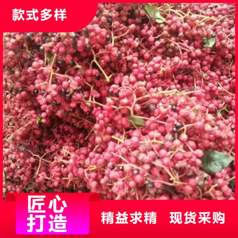 花椒苗-梨樹苗產地源頭好貨