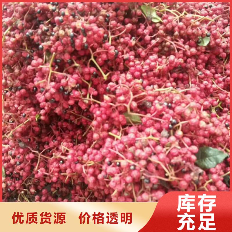花椒苗视频-如皋|港闸|徐州|宿迁|泰州|常州|连云港兴海花椒苗_ 兴海苗木种植社(南通市分公司)