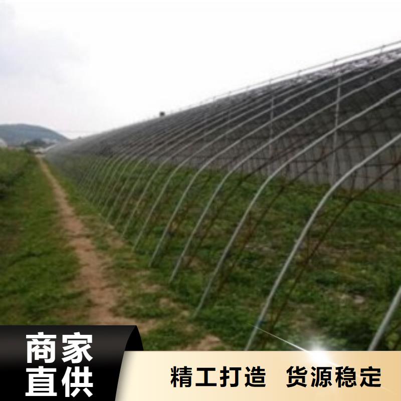 花椒苗视频-广西省南宁市兴海花椒苗可服务区域良庆|邕宁|崇左|玉林|梧州|防城港|贵港|柳州|河池等