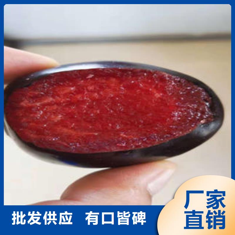 李子苗核桃苗精工細致打造