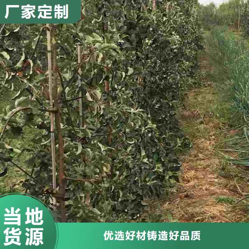 蘋果苗李子苗銷售的是誠信