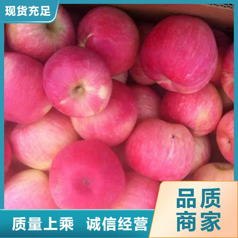 蘋果苗,葡萄苗工廠批發