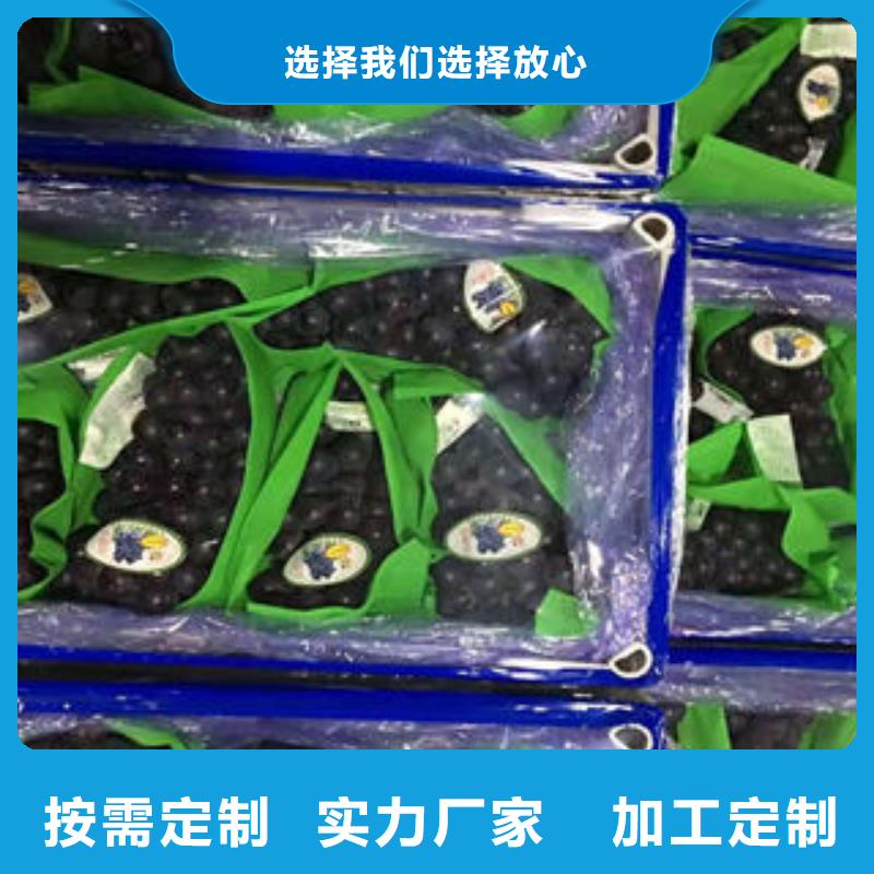 葡萄苗,桃樹苗一周內發貨