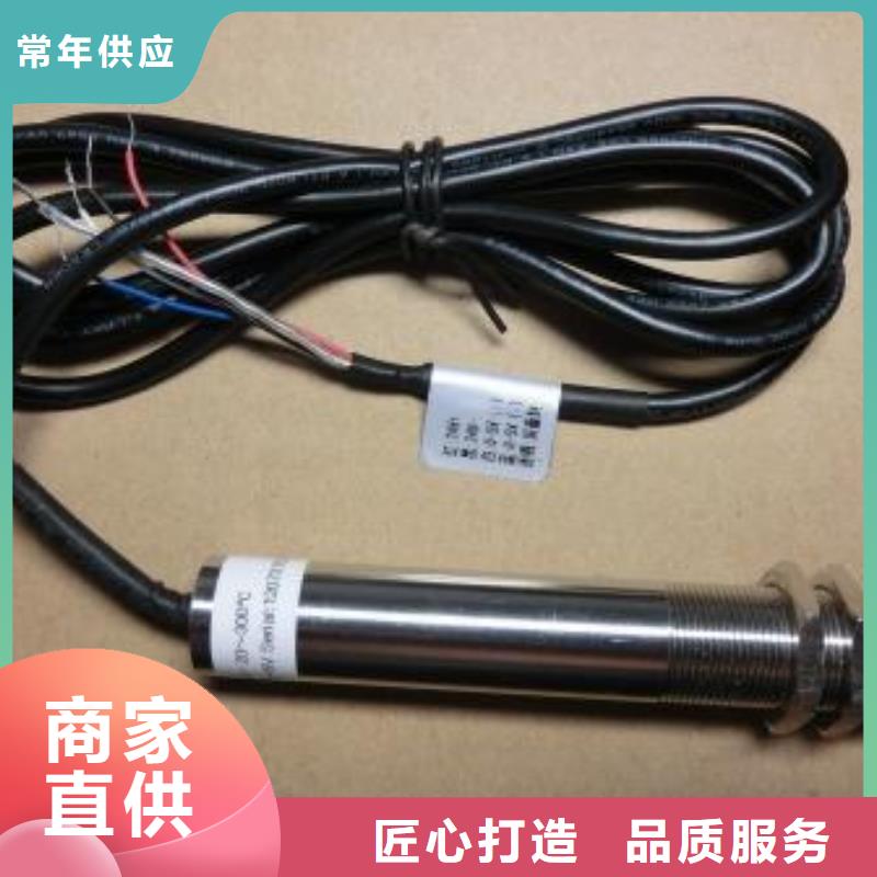 IRTP300L紅外探頭用心做好每一件產品