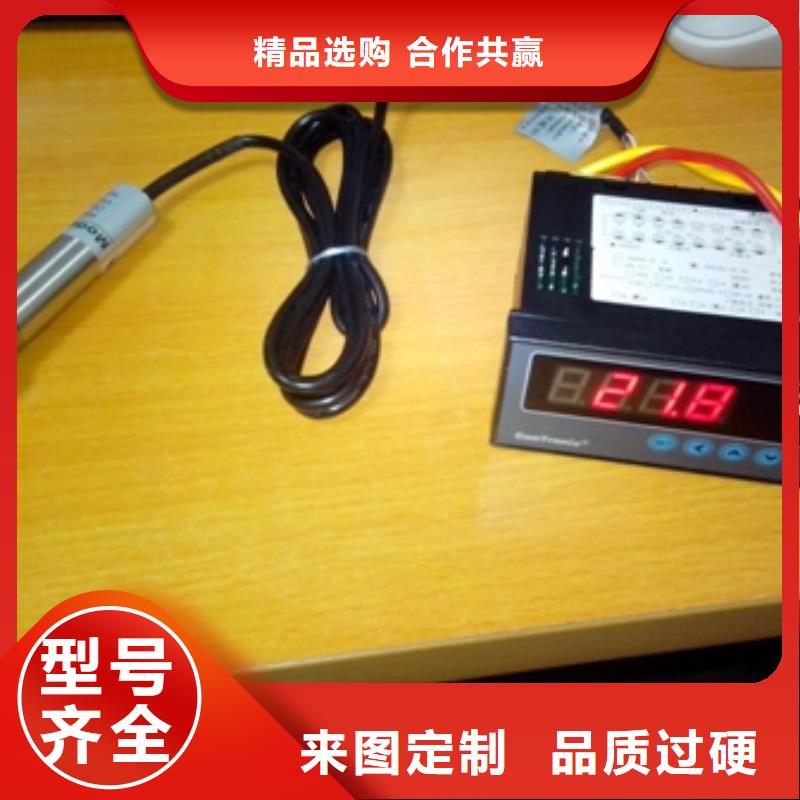 IRTP300L金屬轉子流量計正規廠家