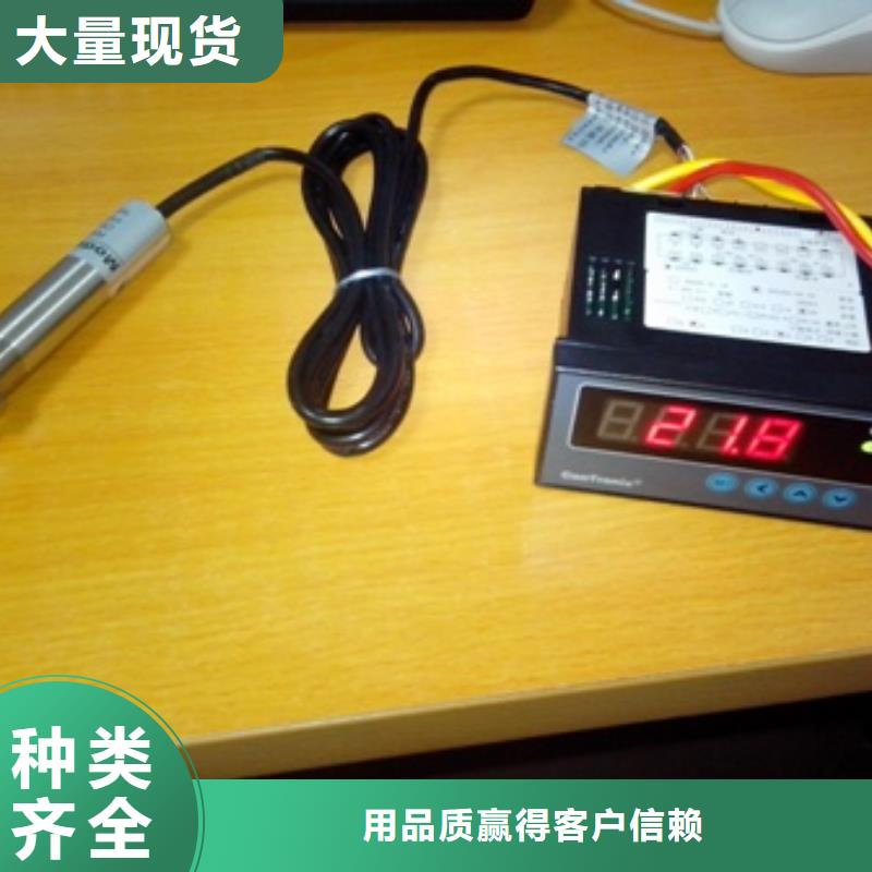 IRTP300L金屬管浮子流量計客戶滿意度高
