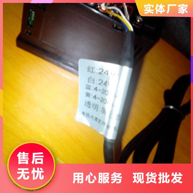 IRTP300L金屬管浮子流量計專業的生產廠家