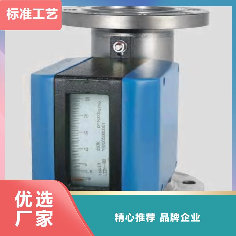 金屬浮子流量計金屬管浮子流量計細節決定成敗