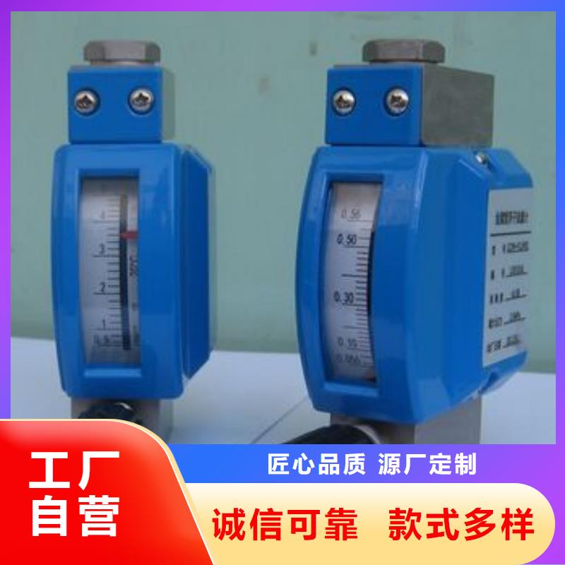 微小流量计吹扫装置大量现货
