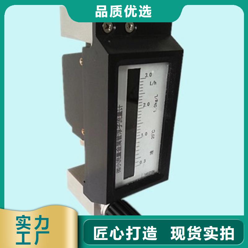 微小流量計吹掃裝置大量現貨