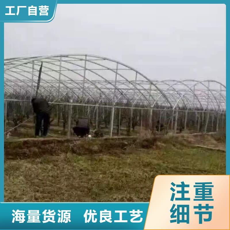 镀锌管材热镀锌圆钢厂家技术完善