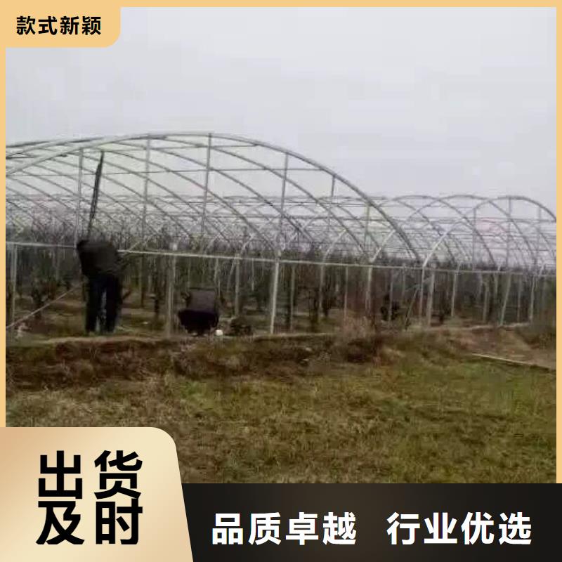 热镀锌h型钢视频-热镀锌h型钢-阔恒兴旺贸易(南京市分公司)服务区域下关|白下|淮安|徐州|泰州|连云港|宿迁|镇江|常州