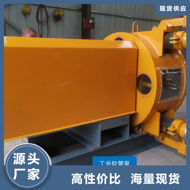擠壓泵定量泵送化學介質輸送泵