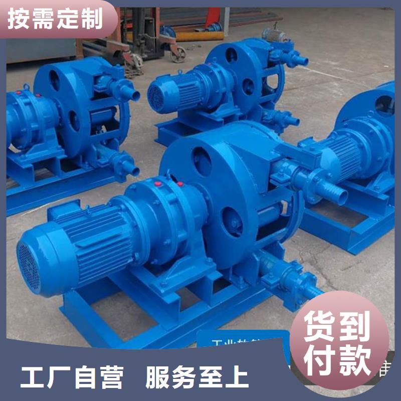 擠壓泵定量泵送化學介質輸送泵