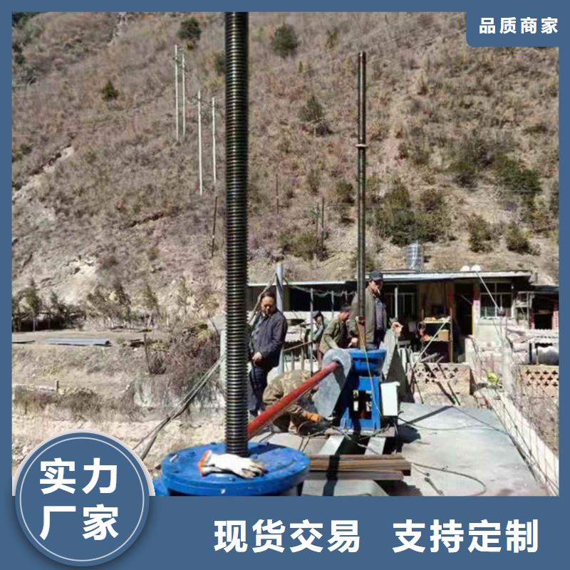螺杆式启闭机侧摇启闭机按需设计