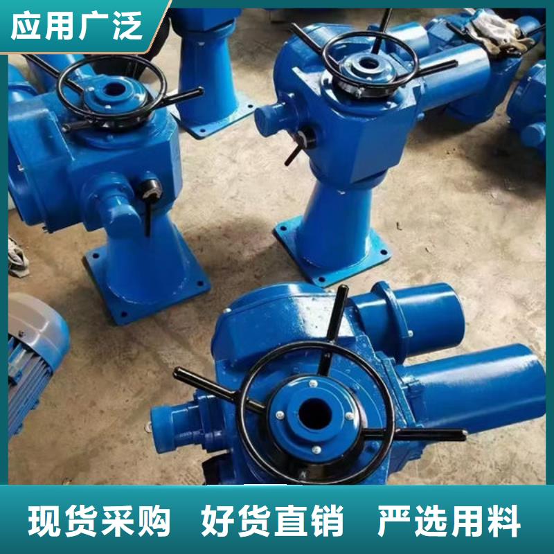 螺杆式启闭机双吊点启闭机支持定制