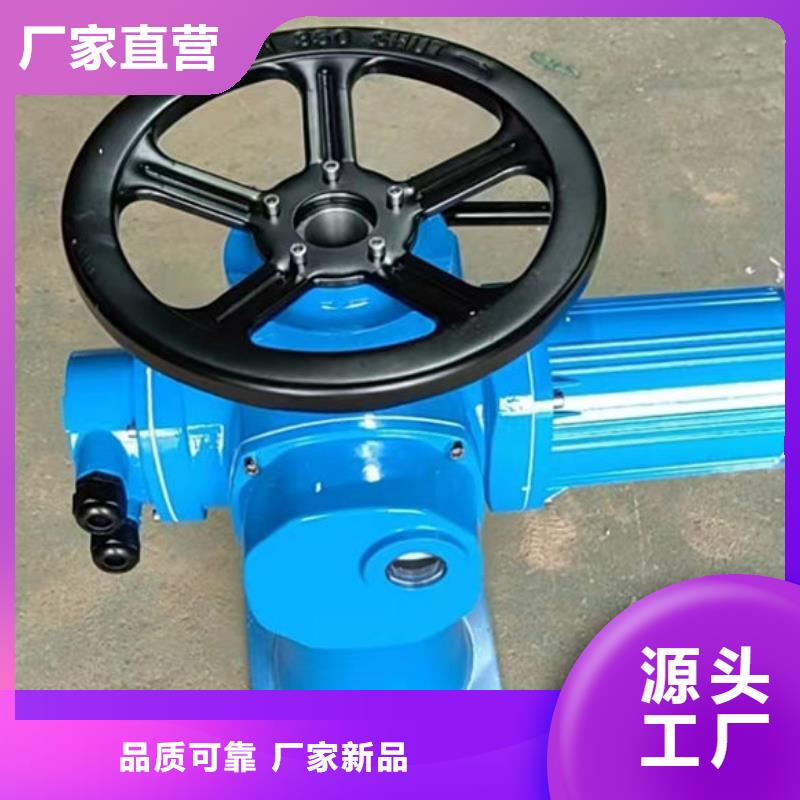 螺桿式啟閉機,雙吊點啟閉機不只是質量好