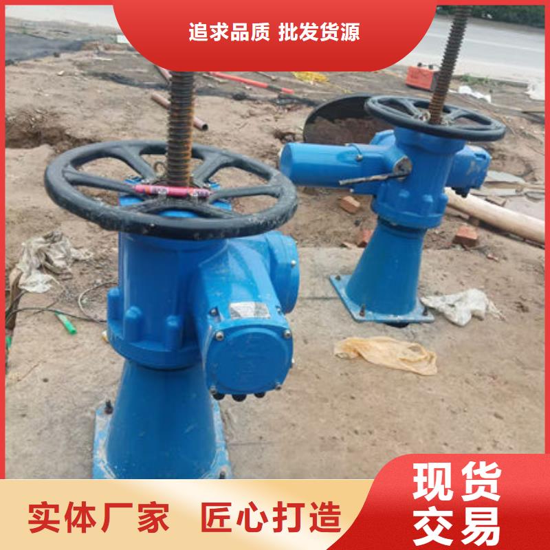 螺桿式啟閉機側搖啟閉機按需設計
