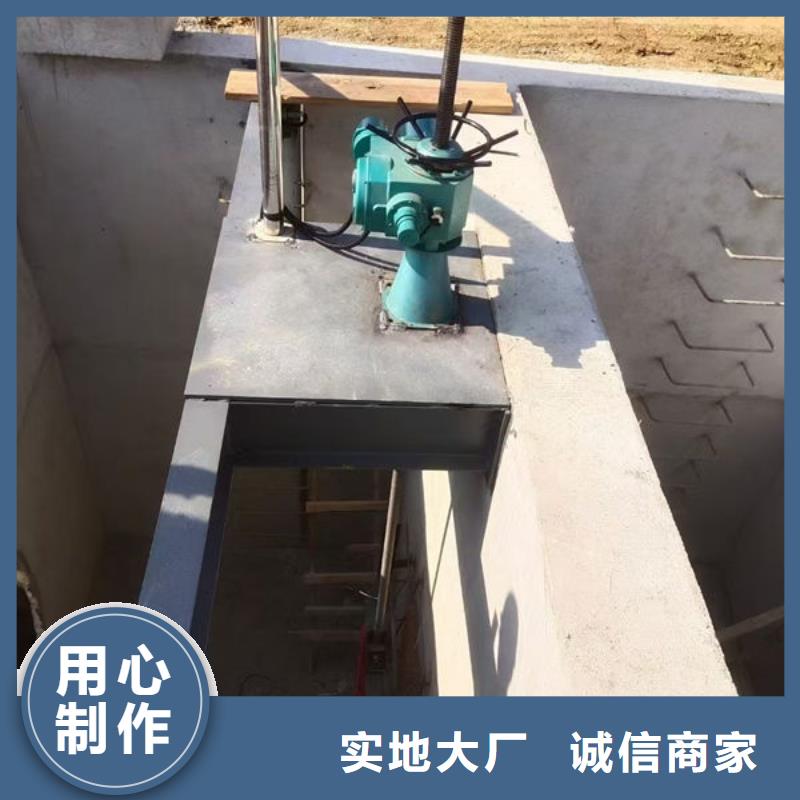 螺桿式啟閉機雙吊點啟閉機支持定制