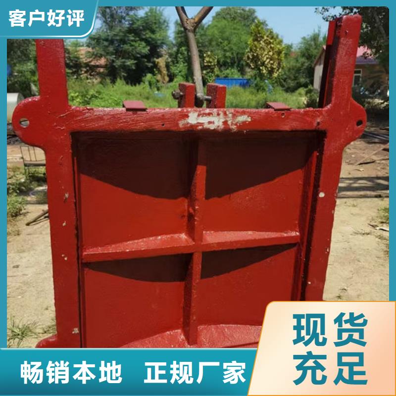 泵站鑄鐵閘門規格齊全
